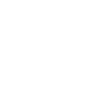 Logo for Sto Corp in white